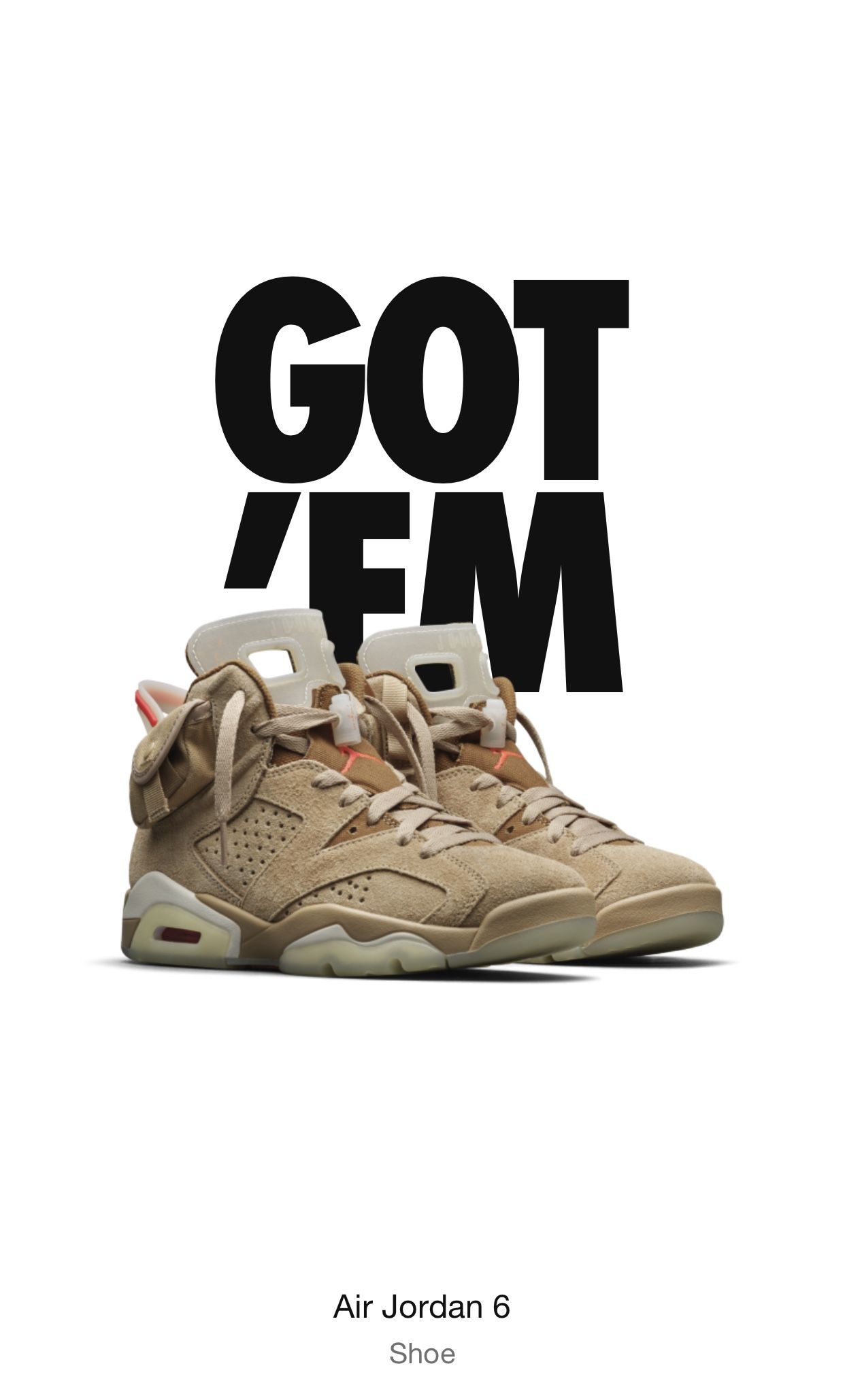 TRAVIS SCOTT RETRO 6