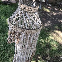 Decorativo Grande De Conchas Para La Sala