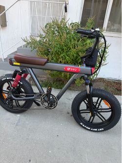 Electric bike 750 w motor