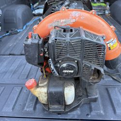 Echo Backpack Blower Read Description
