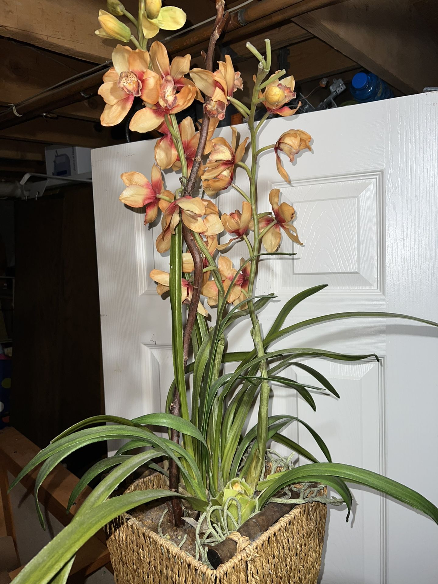 Fake Plant
