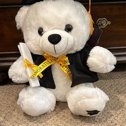 Graduation Bear