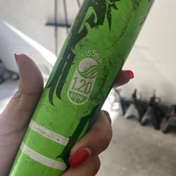 ASA Softball Bat