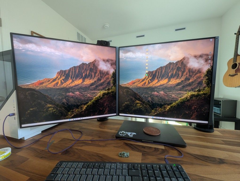 LG Dual Up Monitors