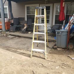 6ft Husky Ladder 