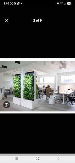 Indoor plant wall system