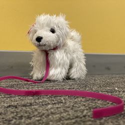 Puppy On A Leash