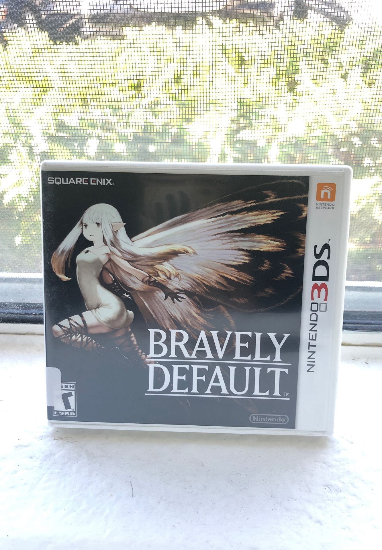 Nintendo 3DS Bravely Default