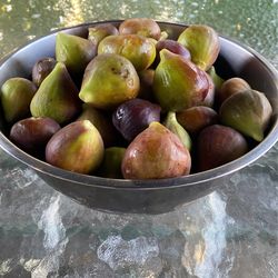 Igos