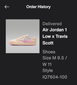 Shy pink travis scott