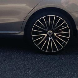 1 Year Old Rims