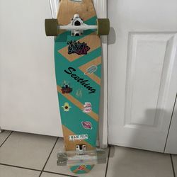 Long Board Skate