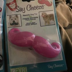 Say Cheese Mustache Squeaky Toy For Dogs