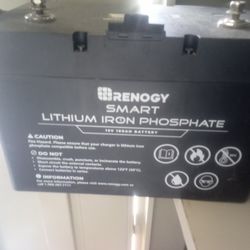 Lithium Iron Phosphate (LiFePO4) Batteries - $400each  $700.00 For Both