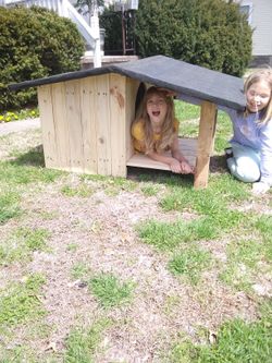 Dog house