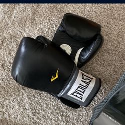 Everlast Pro Style Training Gloves 16 Oz