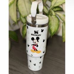 Mickey & Minnie Mouse 30oz Tumbler 