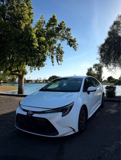 Toyota Corolla Sedan White