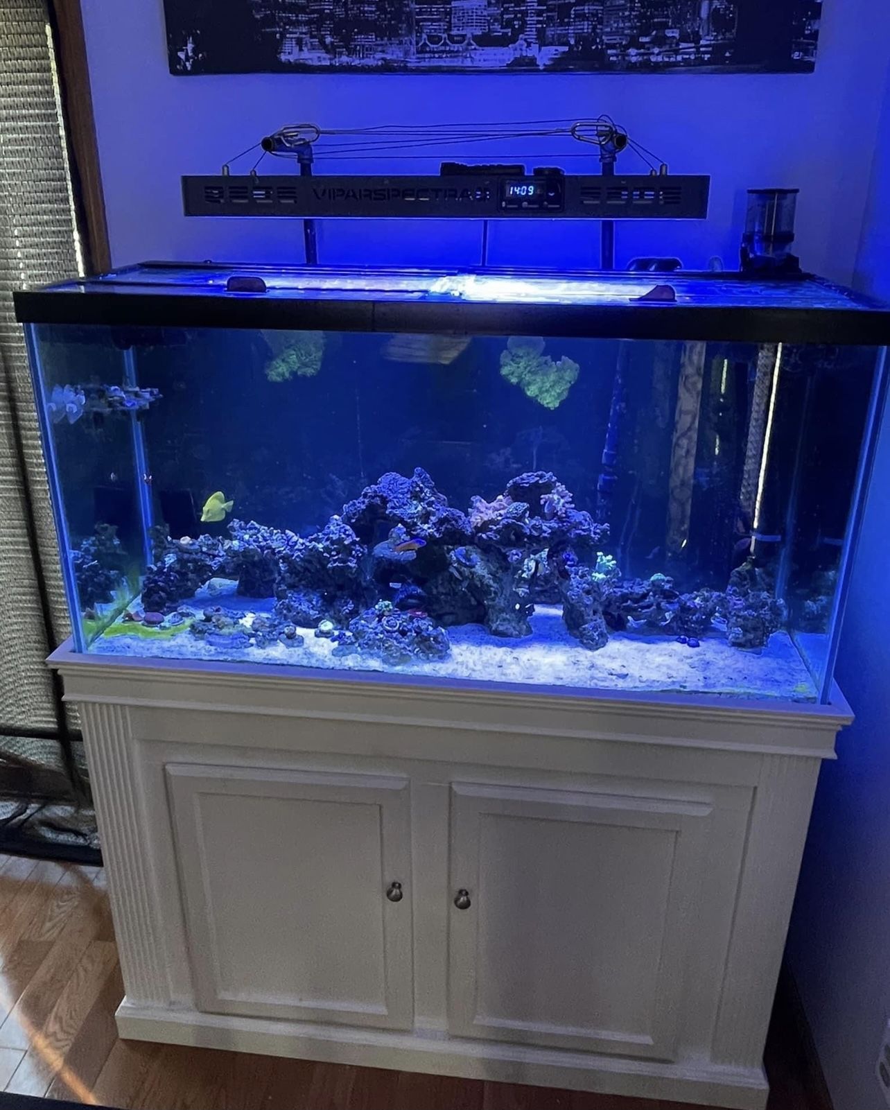90g Tank & Stand