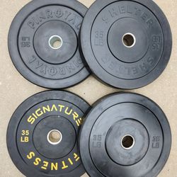 35lb Mismatched Bumper Weight Plates
