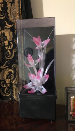 Light decoration