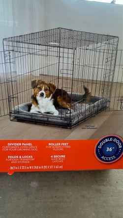 Jaula para perros 🐕