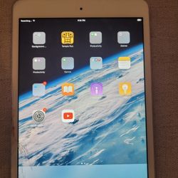 IPad for $20 Firm (Walnut 91789)