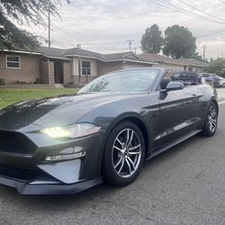2019 Ford Mustang