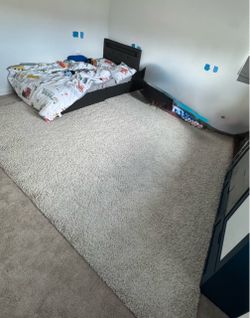 Rugs