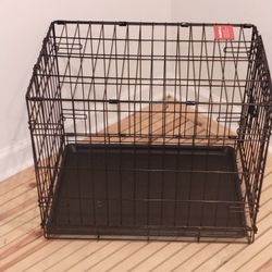 Pet Accessories 