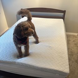 Full Size Bed From Amazon 