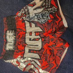 Muay Thai Shorts 