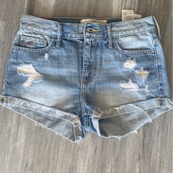 Holister Shorts
