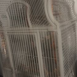 Pirate Cage