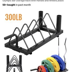 Barbell Bumper Plate Rack