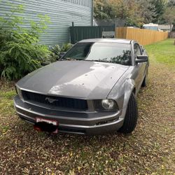 2006 Mustang V6 4.0