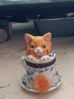 Kitty Cup