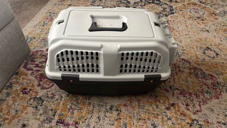 Small Plastic Travel Carrier Dog