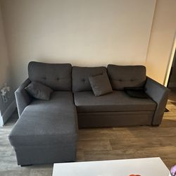 Sleeper Sofa - Brand New!