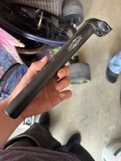 Fuji Stem