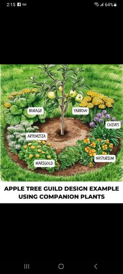 Private Community Garden 