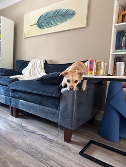 Couch for sale