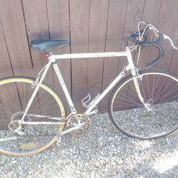 Classic Bicycle Good Luck 120