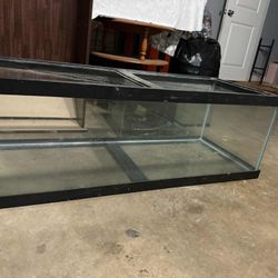 60 Gallon Fish Tank – Good Condition – $80