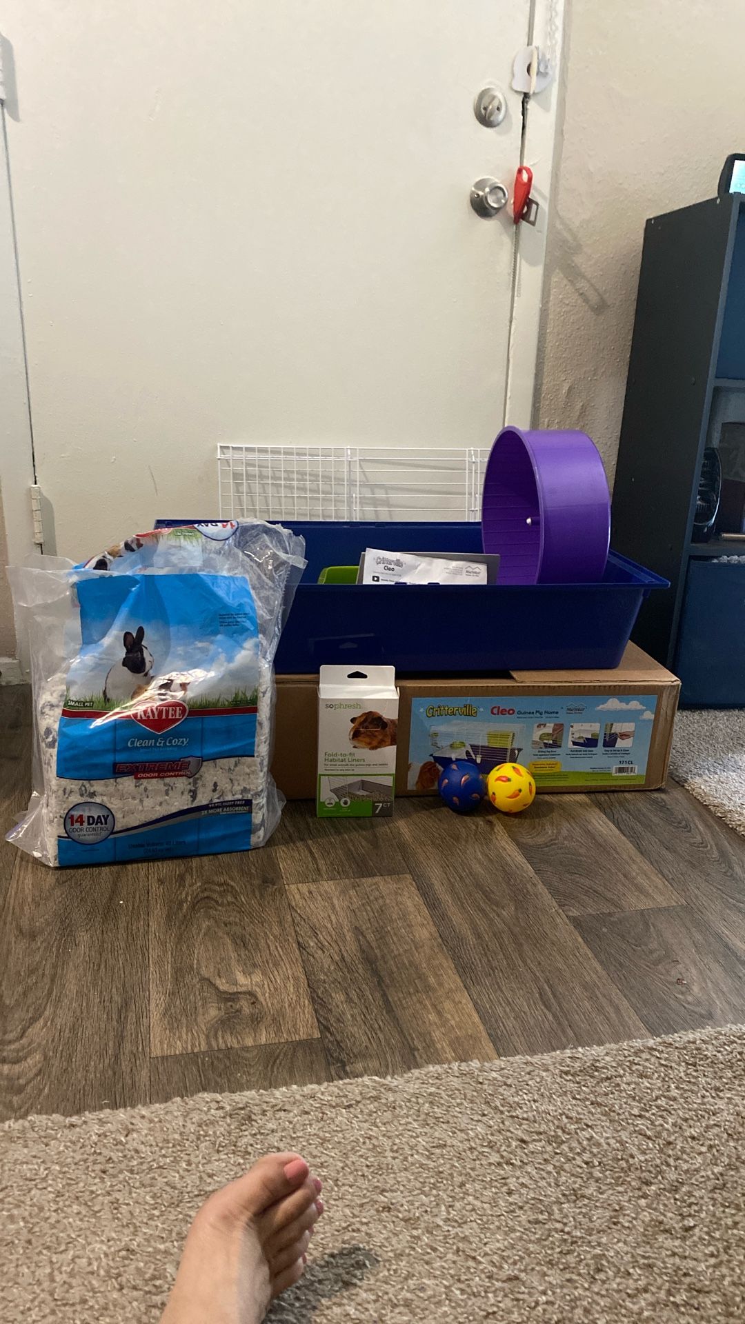 Guinea Pig Home With Bedding Exercise Wheel And You