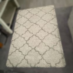SAFAVIEH Hudson Shag Rug