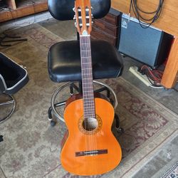 Vintage MIJ nylon string acoustic guitar, with hardshell case