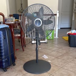 Fan