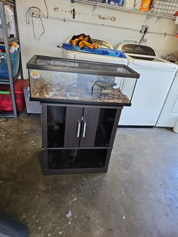 Terrarium With Stand
