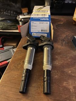 BMW N55 Delphi coils (2)